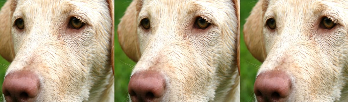 Get My Free Newsletter