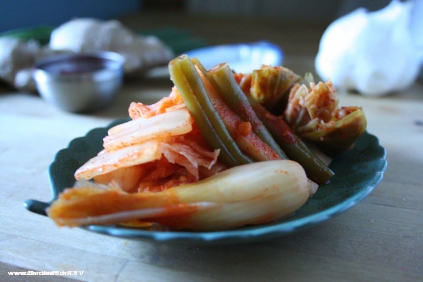 Kimchi — Napa cabbage