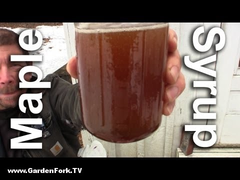 Simple Maple Syrup Evaporator : GF Video