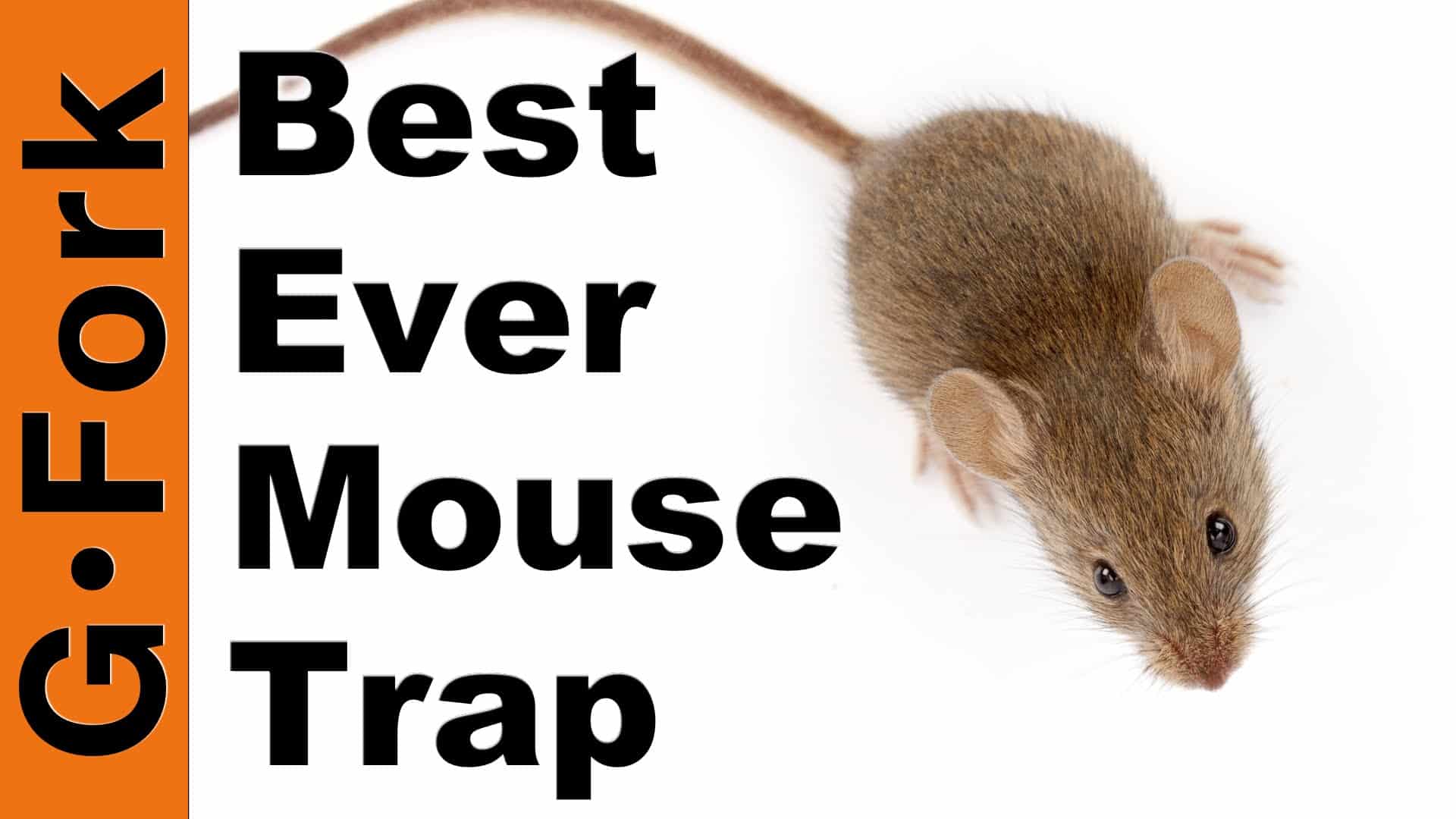 The Best Mouse Trap, Period - GF Video