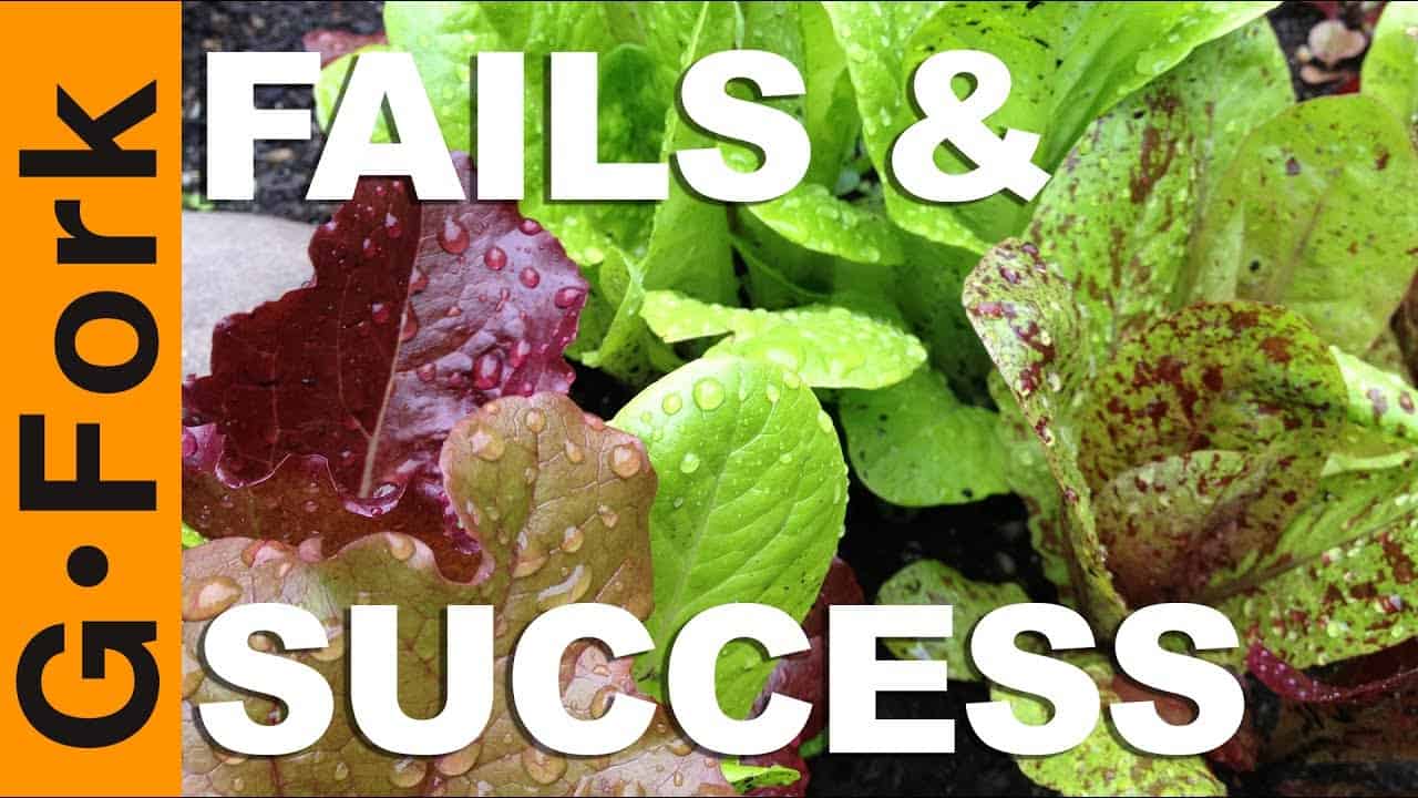 Vegetable Garden Fails & Successes - GF Video