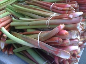 pork-with-rhubarb