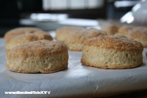 Biscuit on left is no twist, on right is cutter with twist