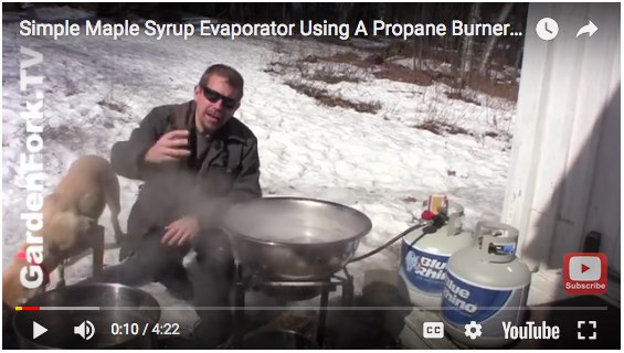 make maple syrup