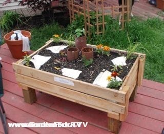 Salad Coffee Table