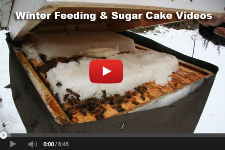 beekeeping-sugarcake-vid-thumb