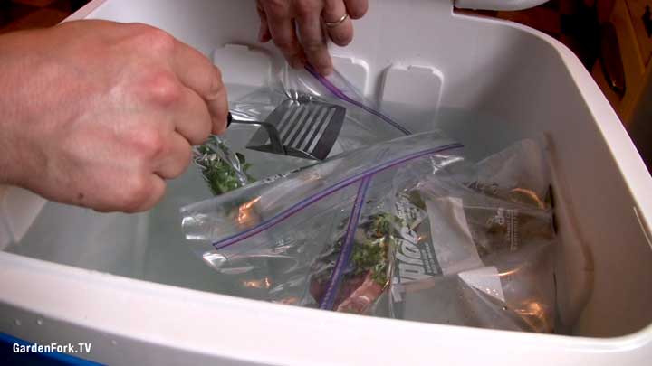 Cooler and Sous vide