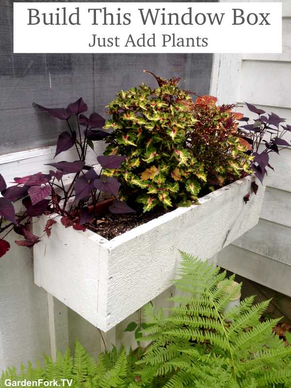 window flower box