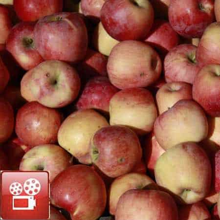 How To Make Applesauce Recipe