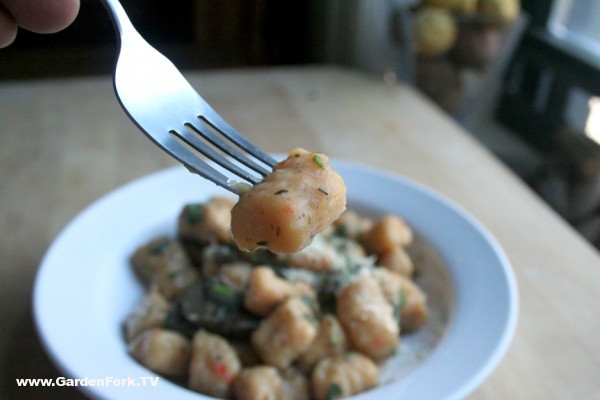 Gnocchi Made with Yam