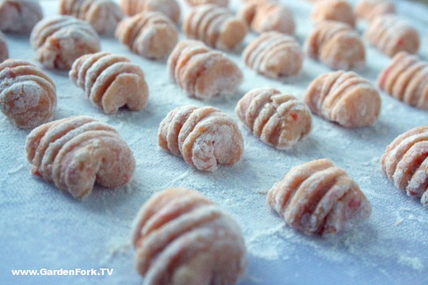 Gnocchi Made with Yam