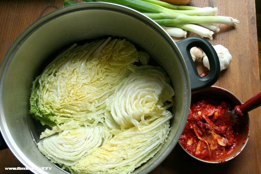 Kimchi preparation