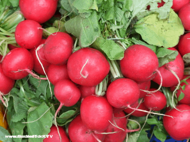 how-to-cook-radishes