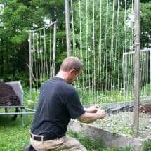 Build A Trellis