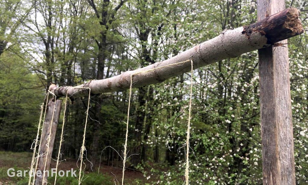 top of wood trellis