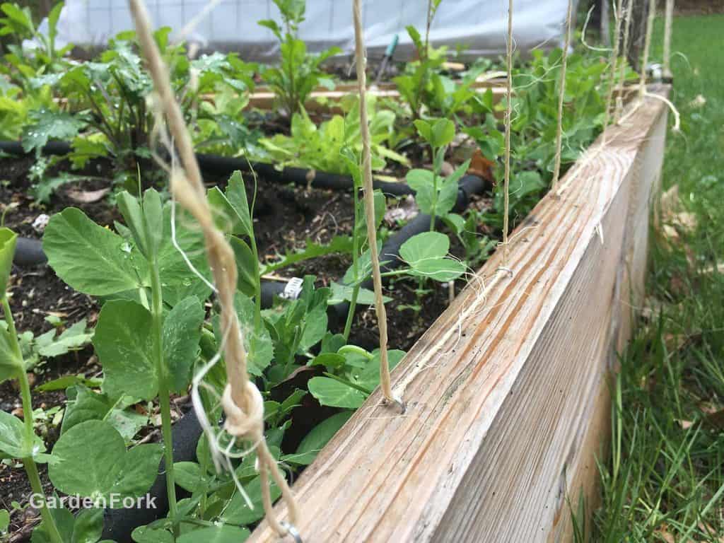 bottom of wood trellis