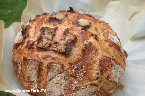 loaf of artisan bread