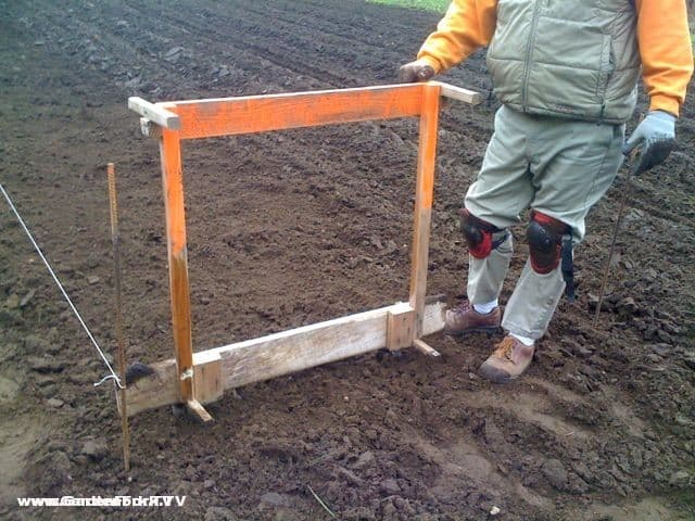 garlic planting tool