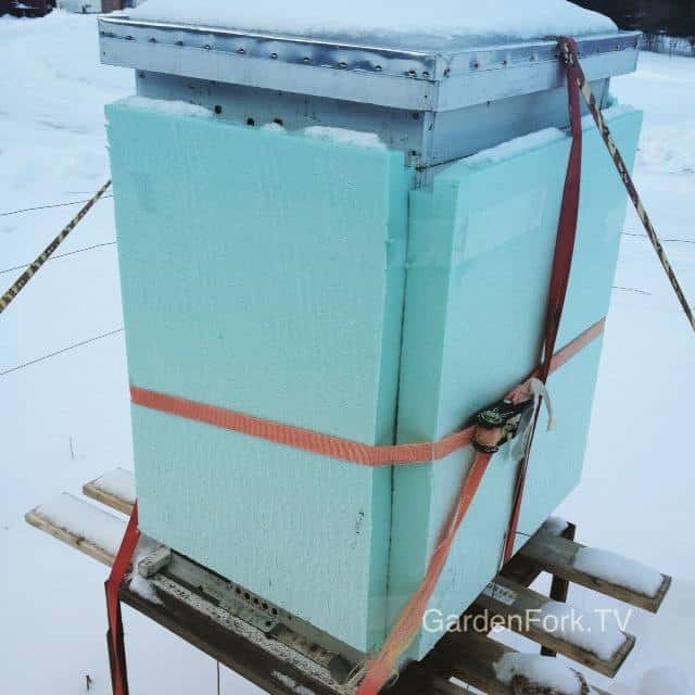 preparing beehives for winter
