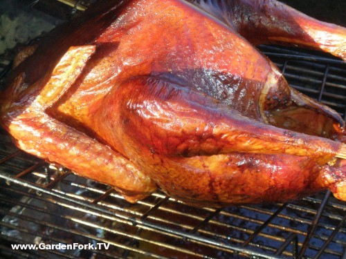 A great bird roasted on the grill