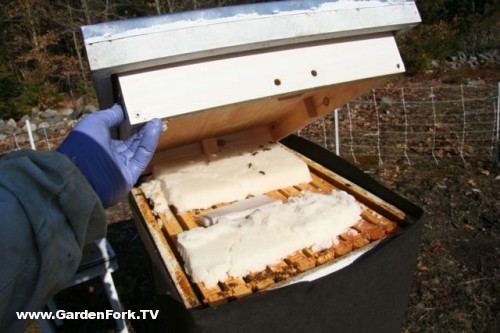 DIY Insulated Inner Cover - Beekeeping 101 - GardenFork - Eclectic DIY