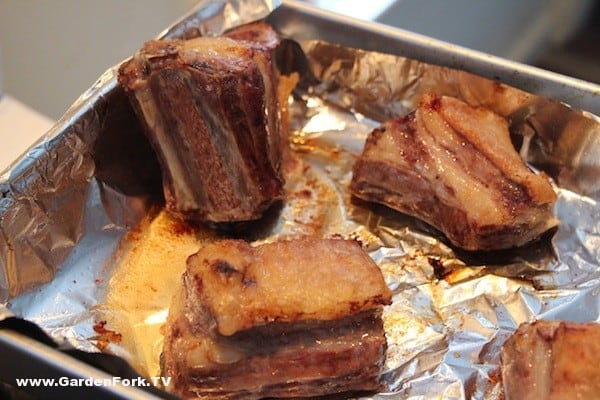Short ribs browned in oven