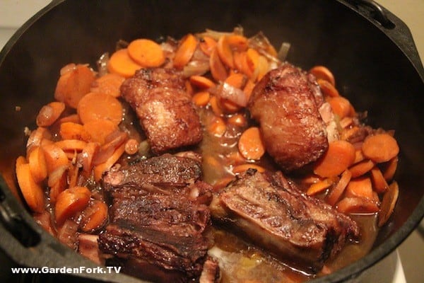 Braised Short Ribs look great, taste tough