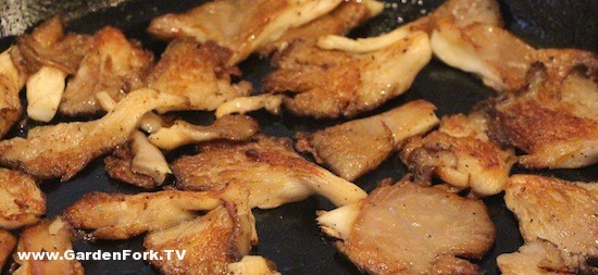 how-to-cook-mushrooms-2