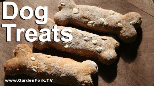 dog-treat-recipe-sweet-potato-dog-biscuits-2