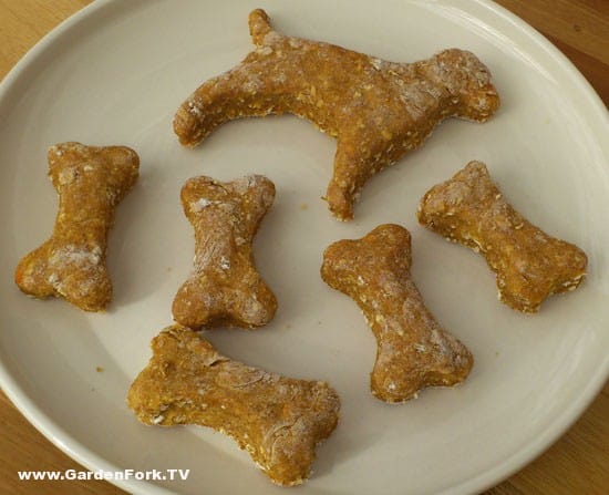 dog-treat-recipe-katja