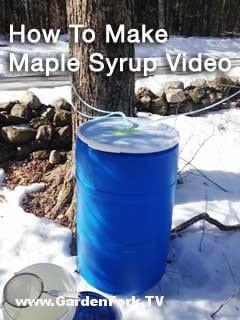 maple-syrup-update