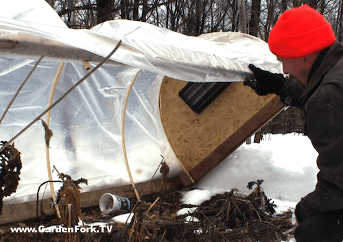 Cheap-Hoop-House-Greenhouse-Setup-2