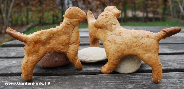 Tuna dog treats recipe hotsell