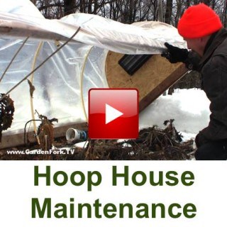 hoop house cold frame