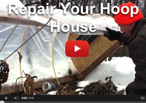 repair hoop house cold frame