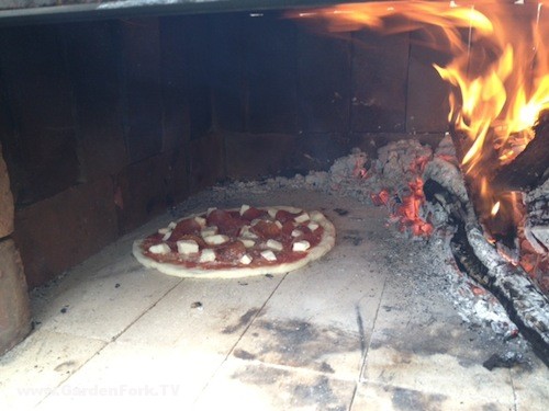 wood-fired-pizza-oven-photos-4