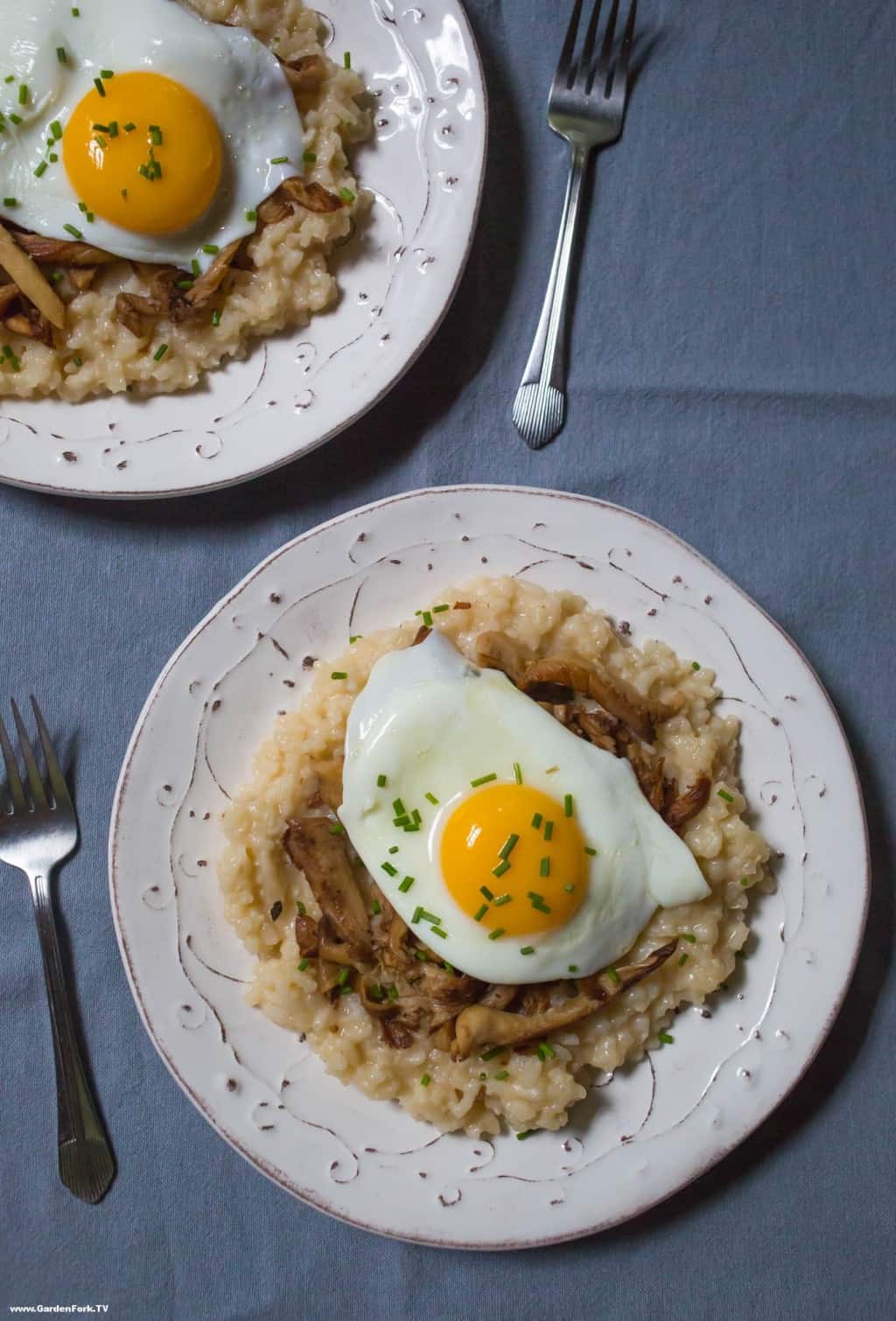 foraged oyster mushroom risotto | GardenFork