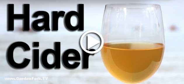 hard-cider-690-play