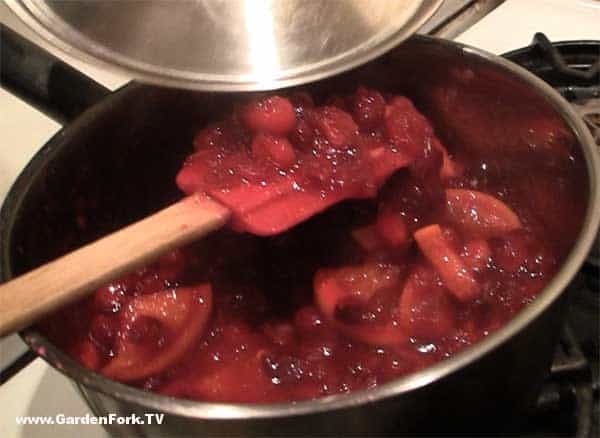 easy-cranberry-recipe-cranberry-jam-1