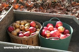 apple-crisp-recipe-1