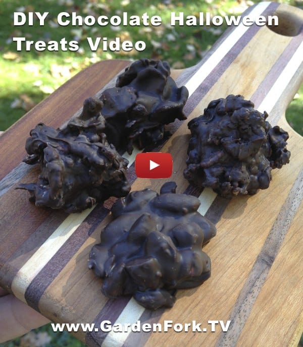 chocolate-halloween-treats-recipe-pin