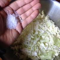 homemade-sauerkraut-fermentation-progress-report2