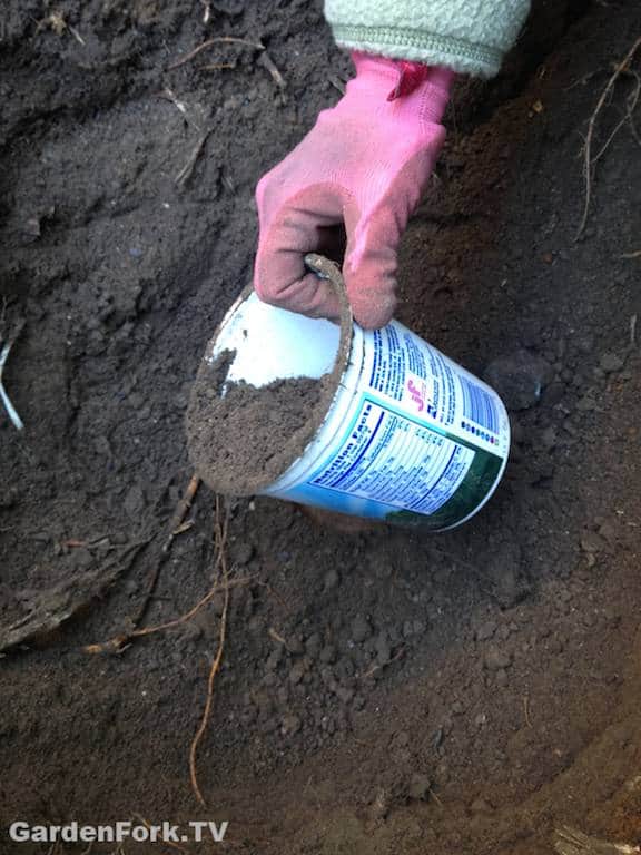 planting-a-tree-next-to-a-tree-stump-is-a-challenge3