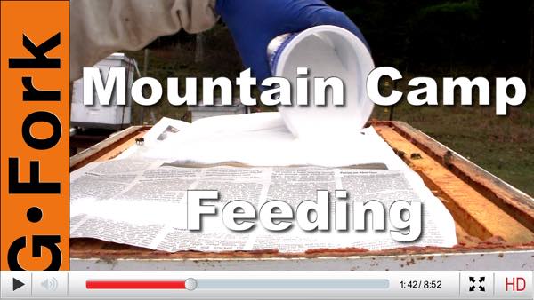 mountain-feeding-sugar-beekeeping-play