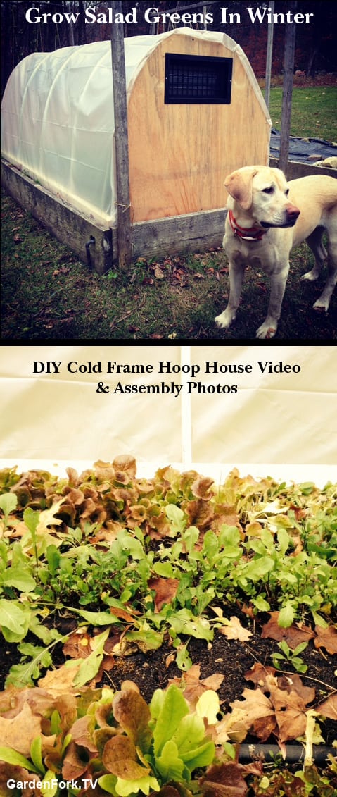 PVC cold frame hoop house