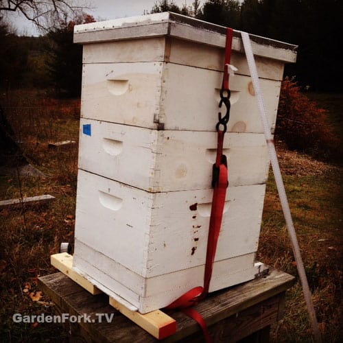 winter-beekeeping-preparation-checklist-5-things-1