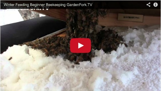 winter-beekeeping-preparation-checklist-5-things-3