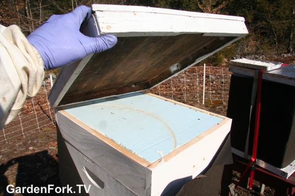 Winter Beekeeping Preparation