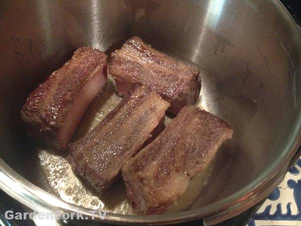 pressure cooker short ribs recipe