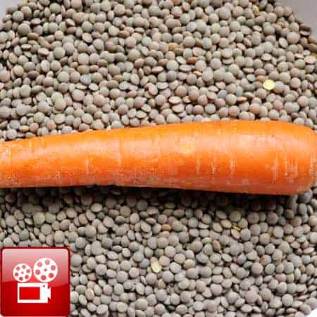 Lentils Recipe With Carrots